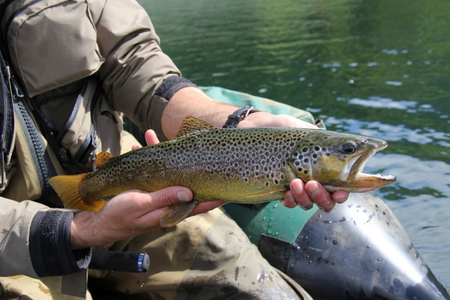 Trout Fishing Adventures: Navigating the Rapids with a Jet Boat