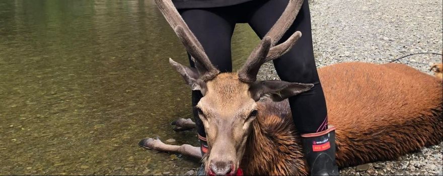 The Awesome Advantages of Deer Hunting from a Jet Boat